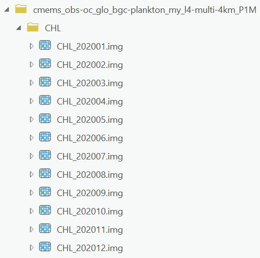 ../_images/ArcDownloadingCMEMSRasters2.png